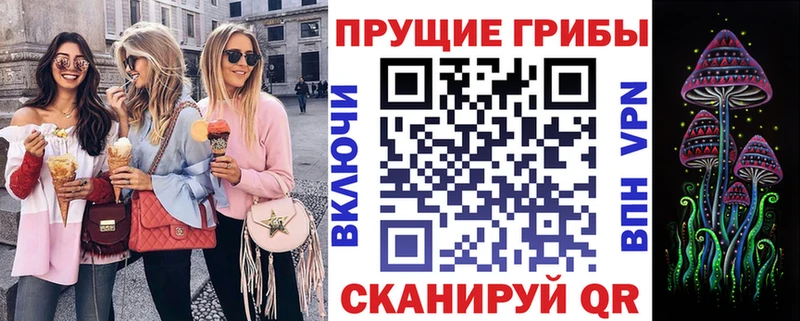 Купить где  Красный Кут  Псилоцибиновые грибы GOLDEN TEACHER 